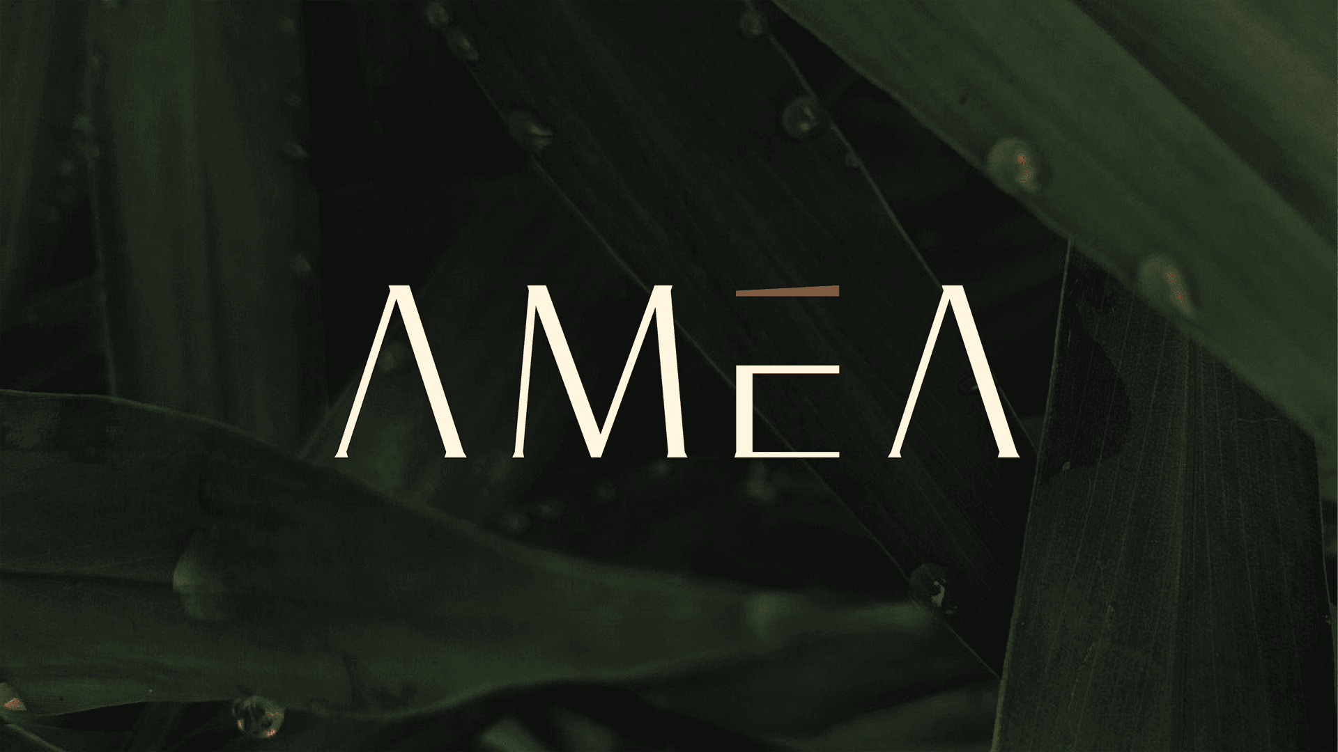 AMEA Boutique Homestay Hero Showcase