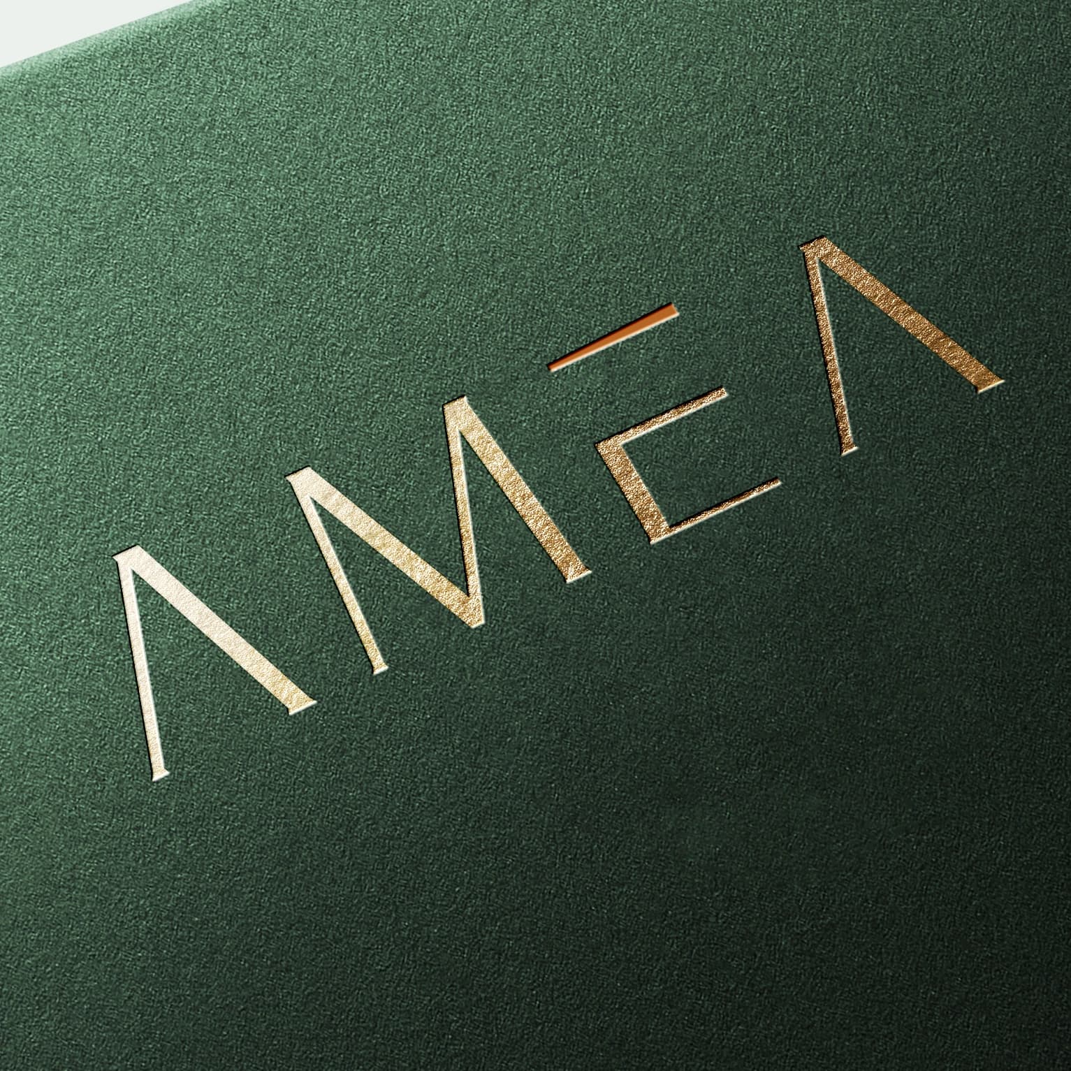 Amea Homestay — Showcase 1