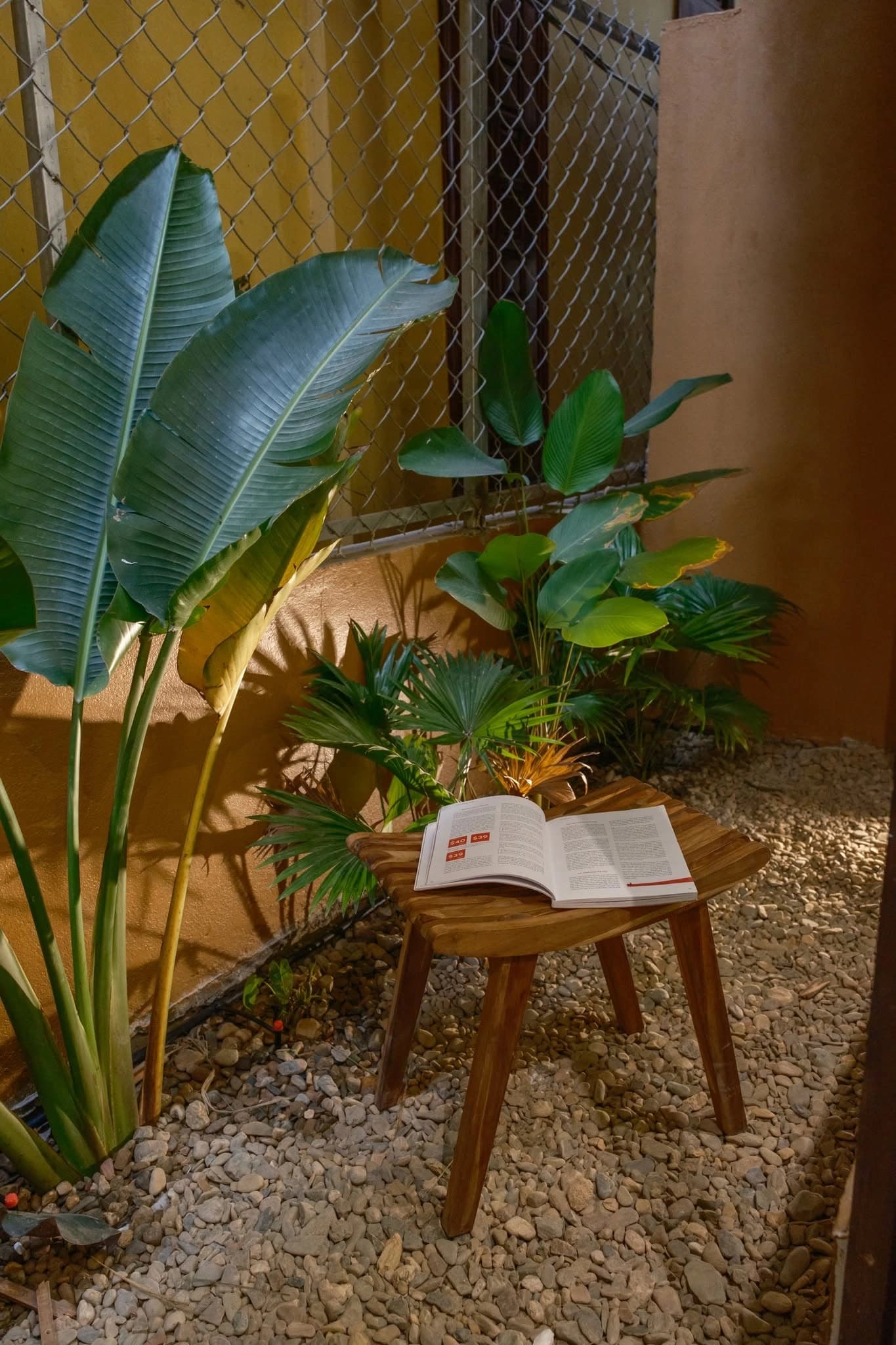 Amea Homestay — Showcase 5