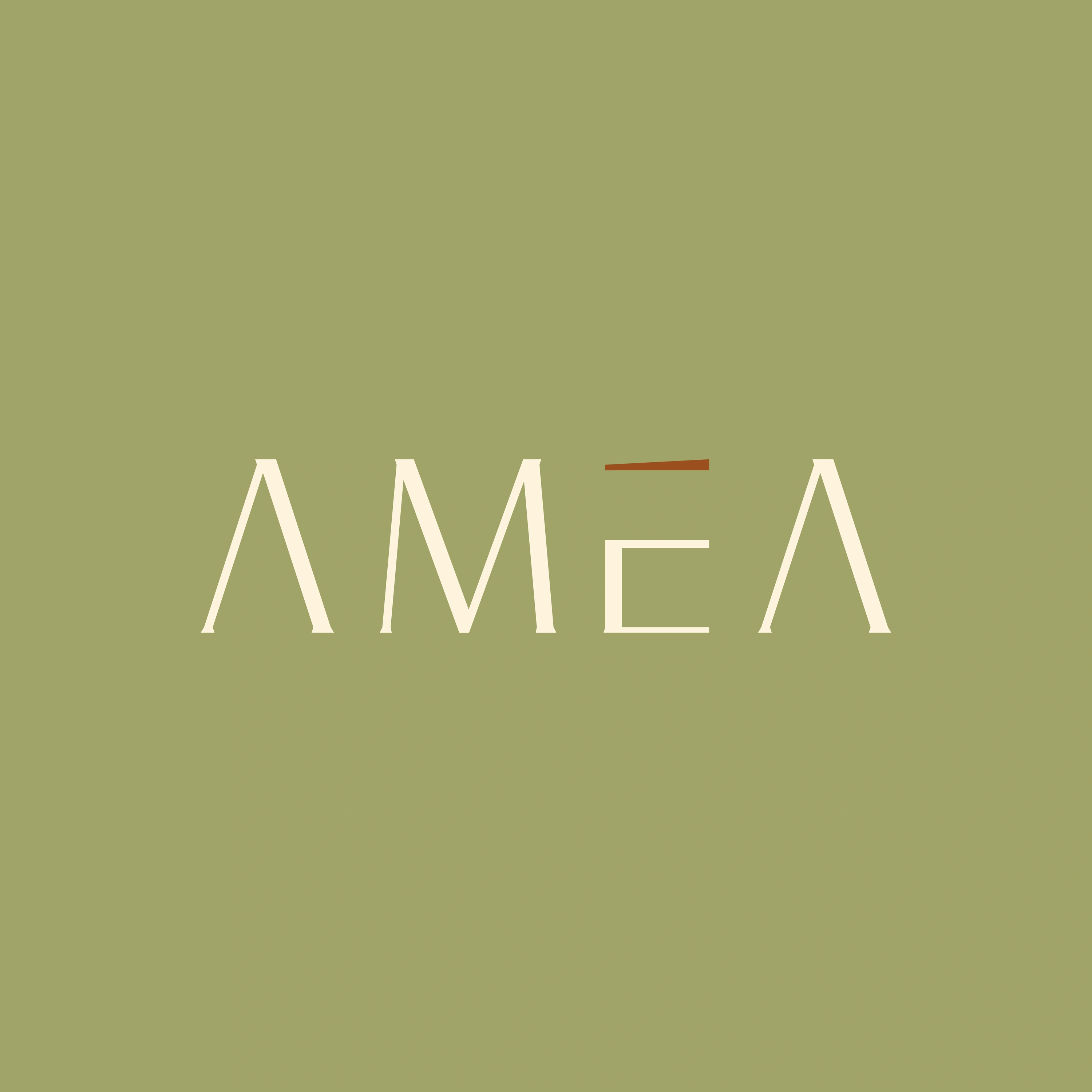 Amea Homestay — Showcase 9