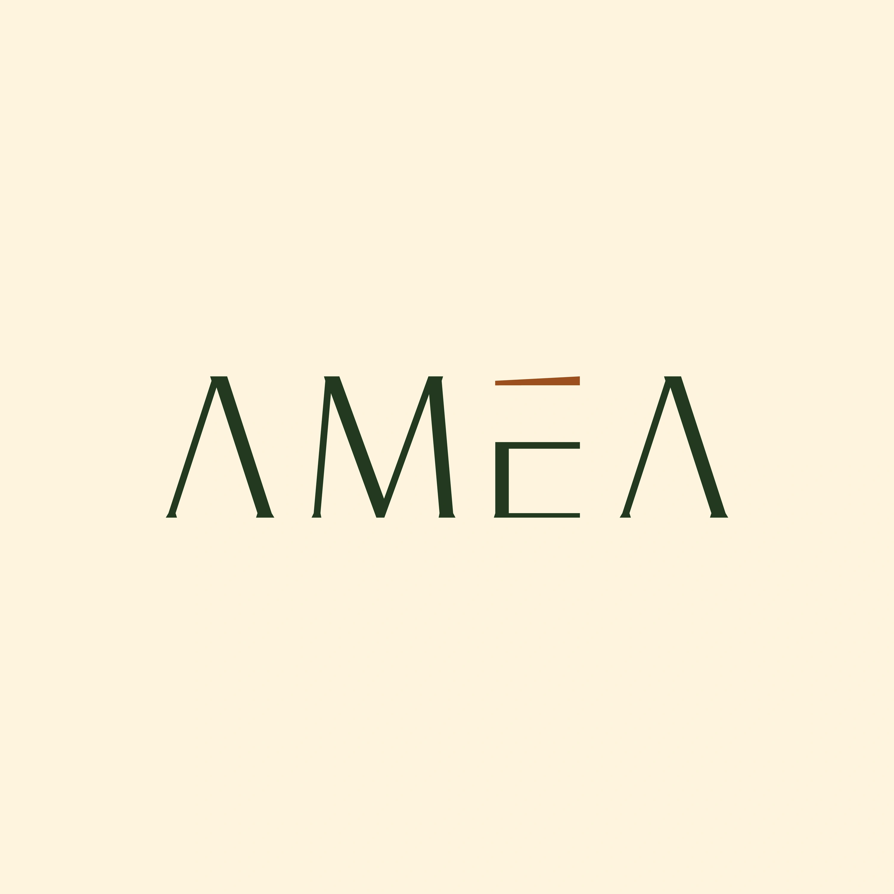 Amea Homestay — Showcase 10