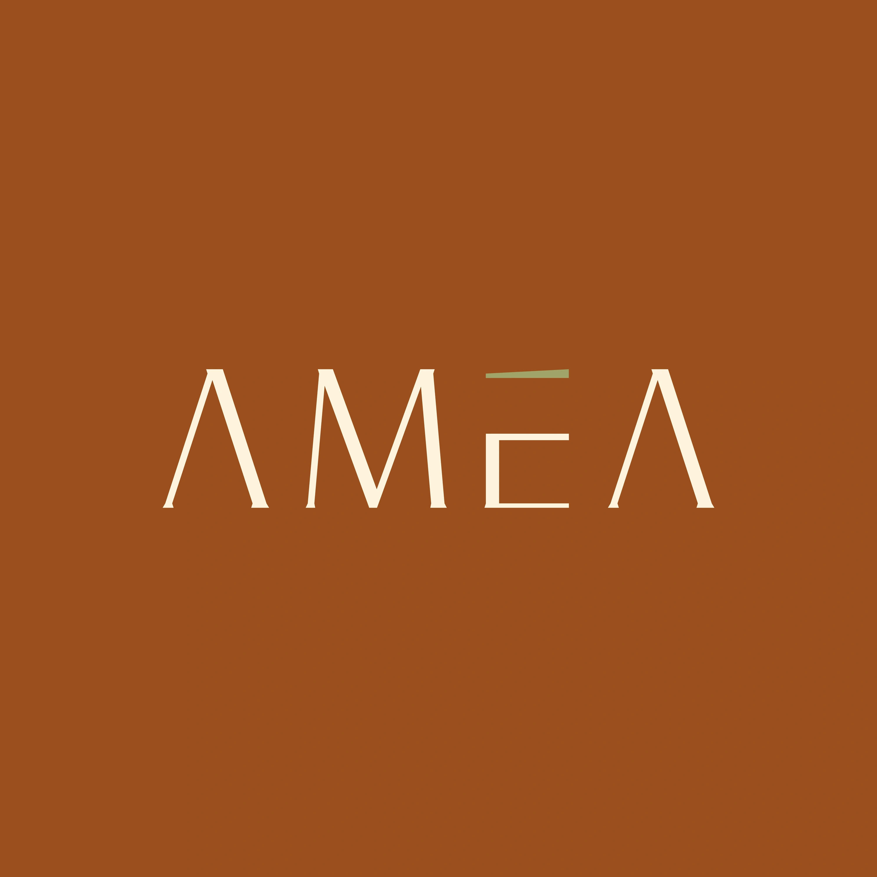 Amea Homestay — Showcase 11