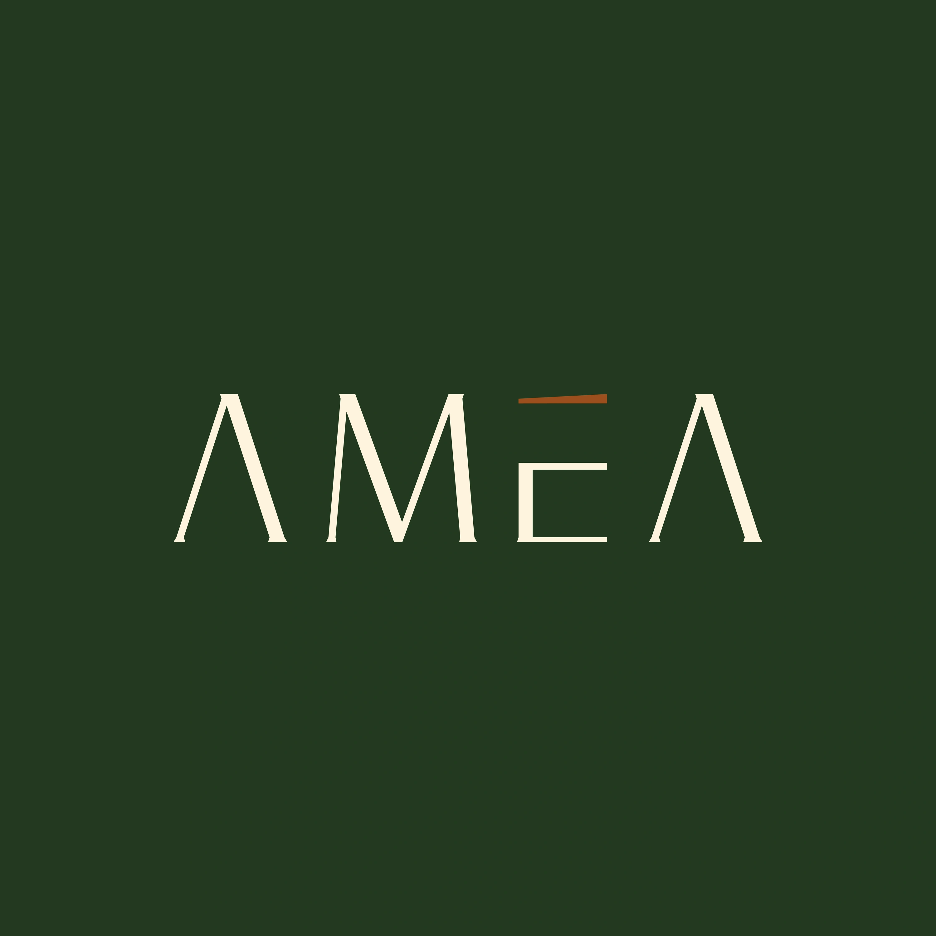 Amea Homestay — Showcase 12