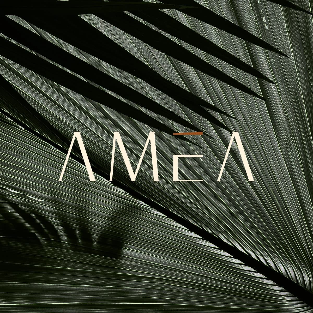 Amea Homestay — Showcase 15