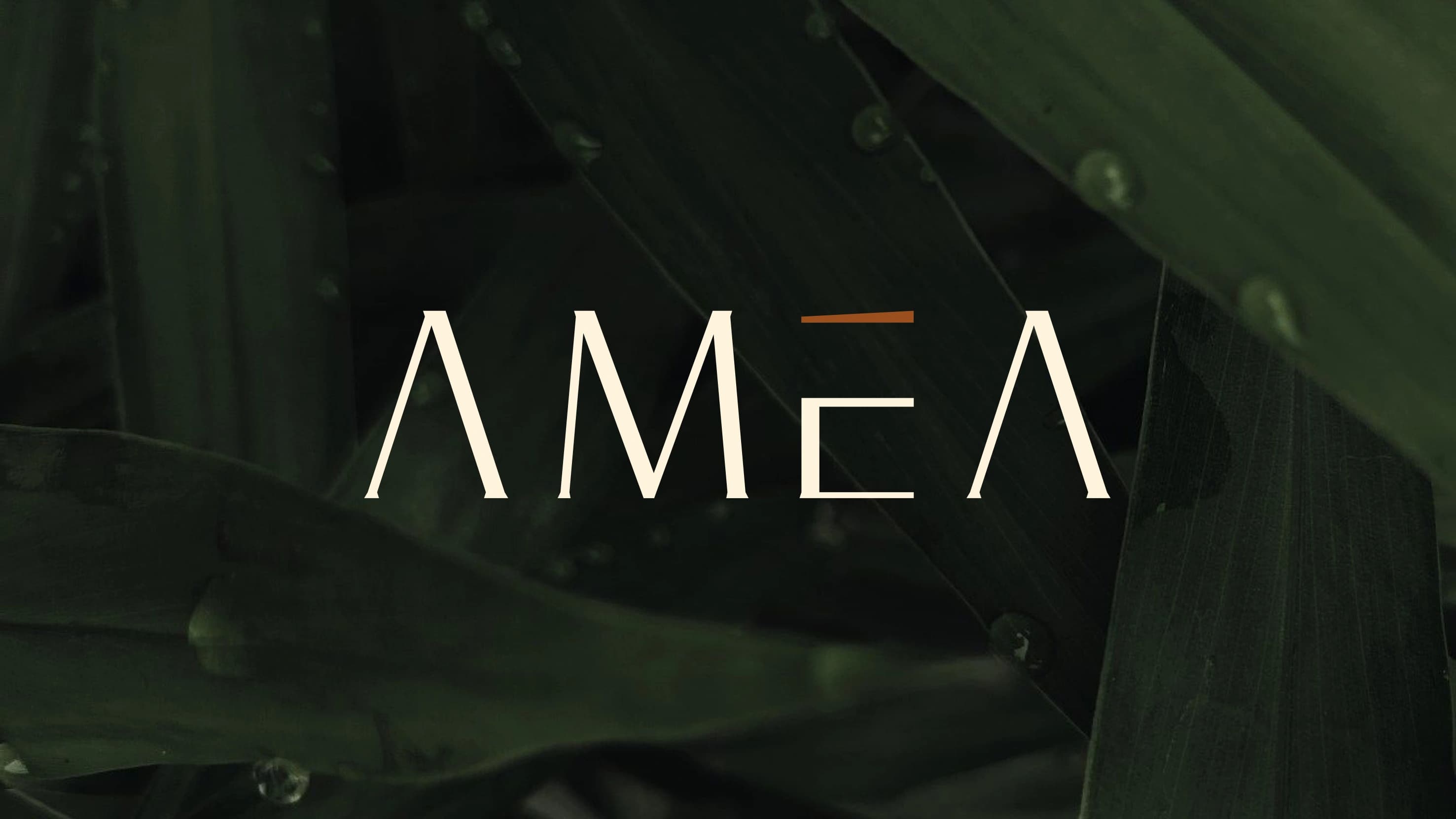 Amea Homestay — Showcase 16