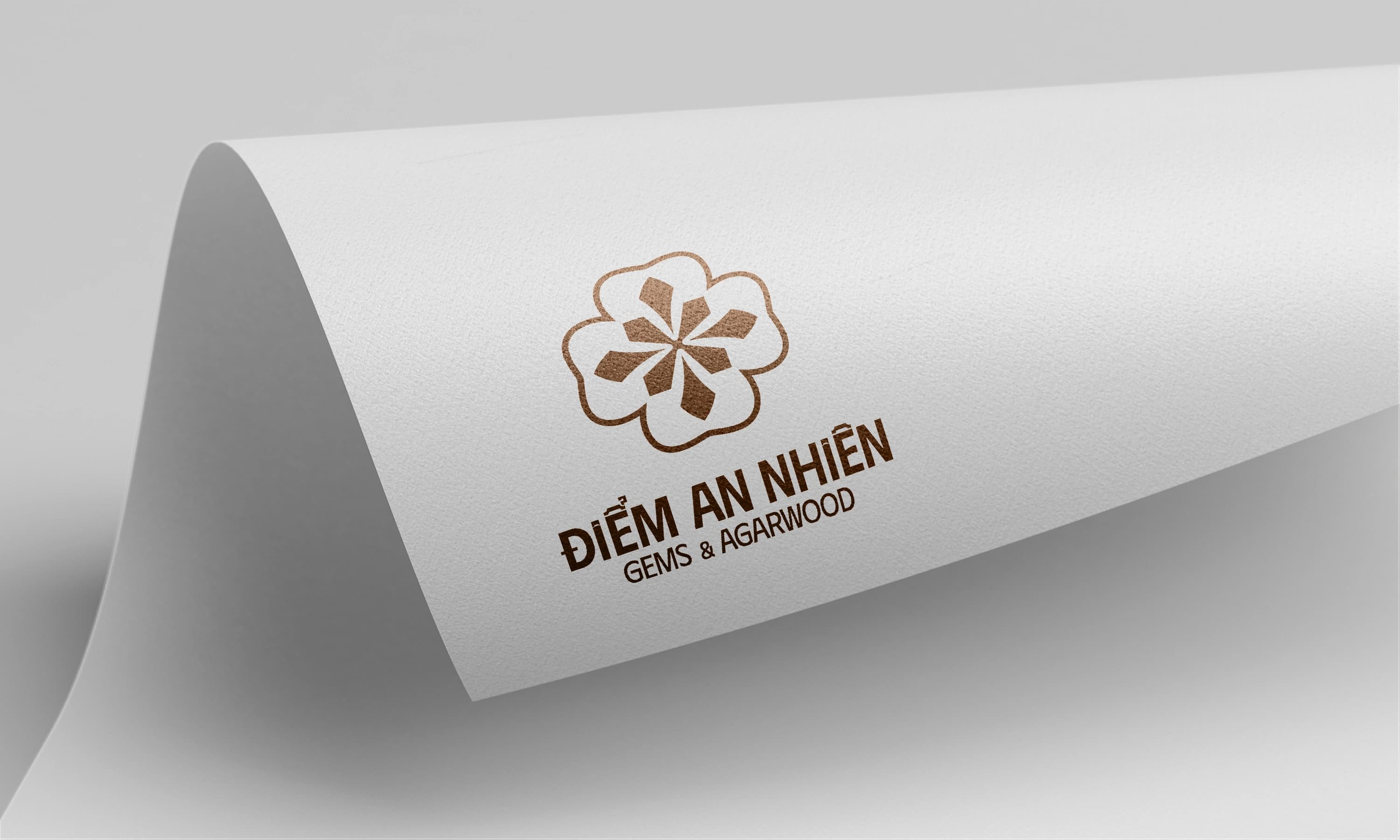 Điểm An Nhiên — Showcase 11