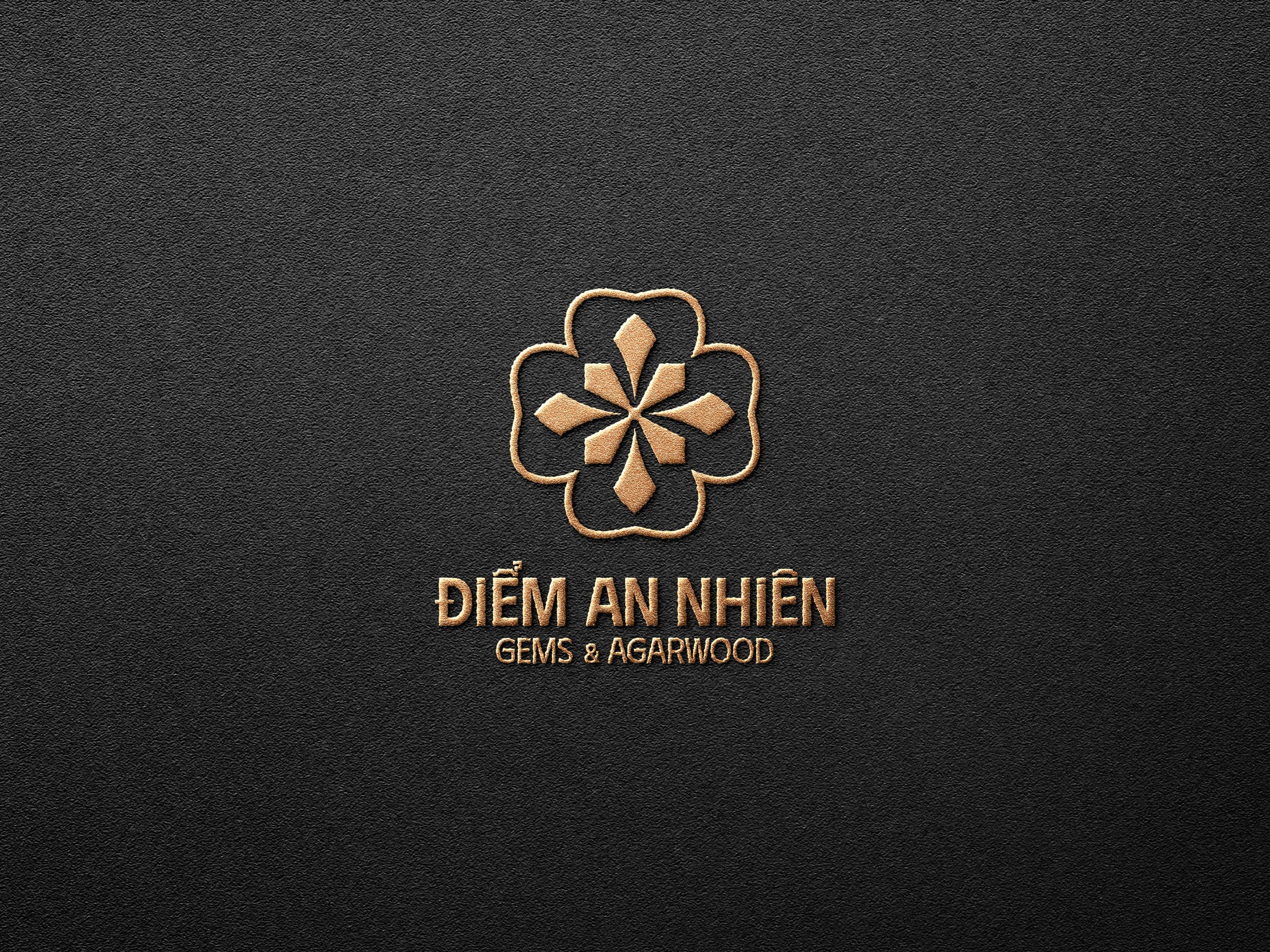 Điểm An Nhiên — Showcase 12