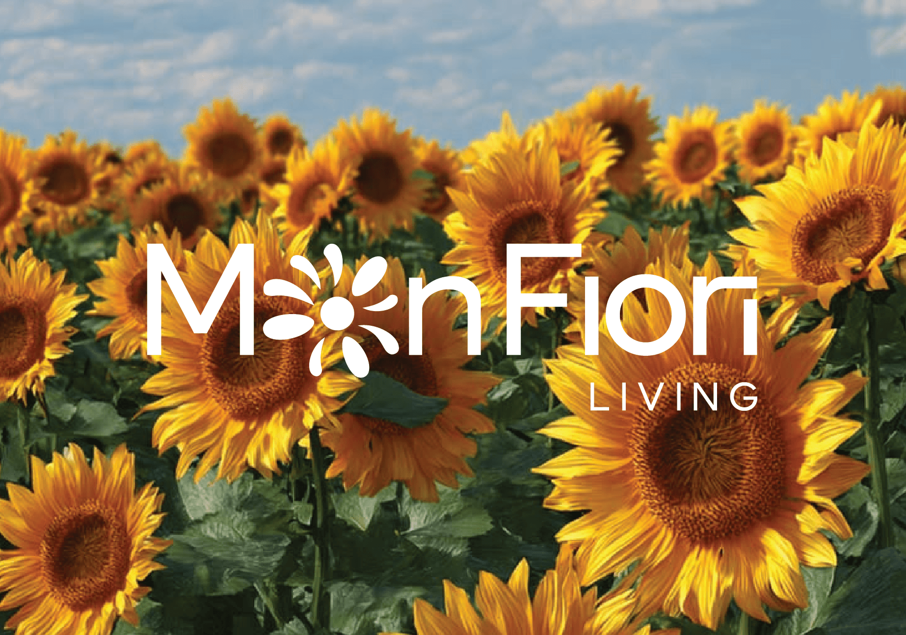 Mon Fiori Living Showcase 1.2