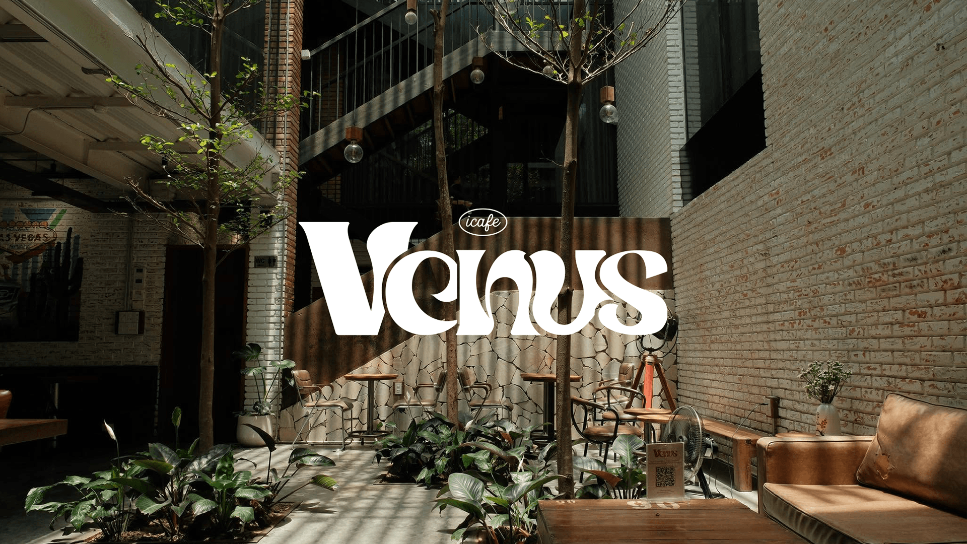 Venus Cà Phê Hero Showcase